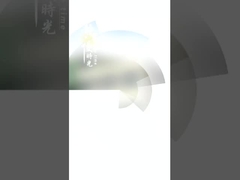 Company Introduction